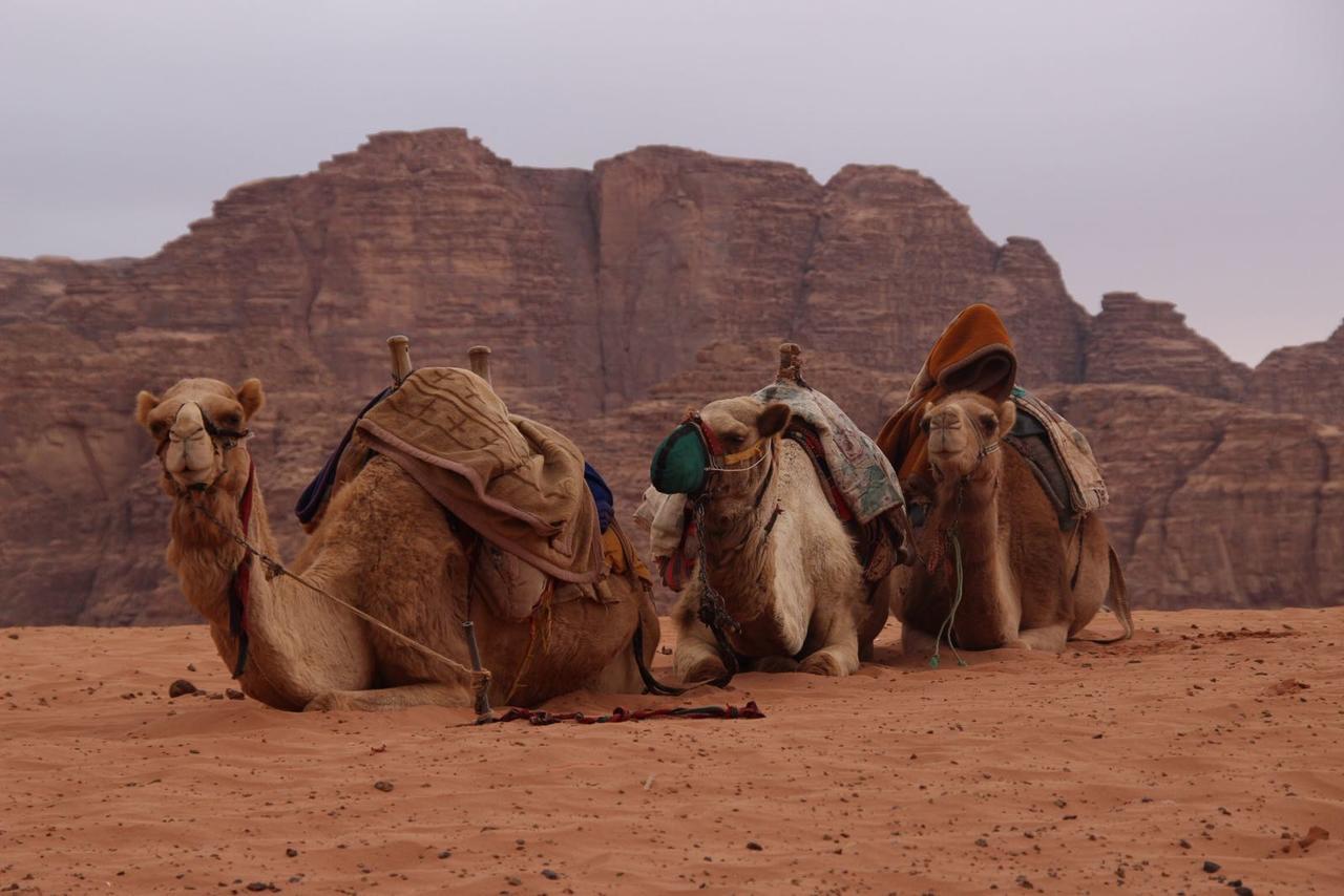 Wadi Rum Desert Secret Camp ワディ ・ラム エクステリア 写真
