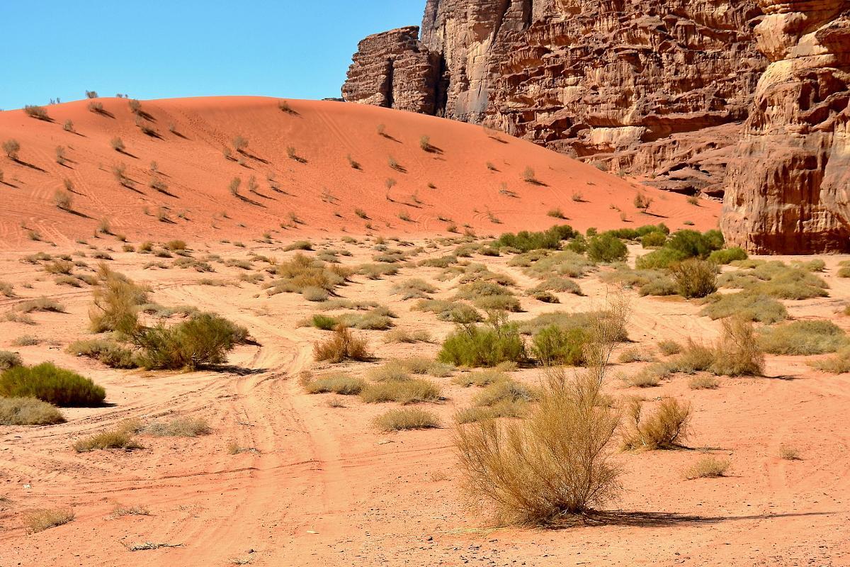 Wadi Rum Desert Secret Camp ワディ ・ラム エクステリア 写真